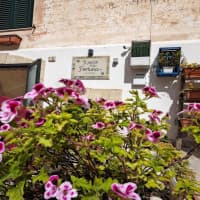 Il Pozzo Della Fortuna, foto 3