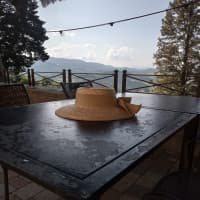 Artiminus, foto 2