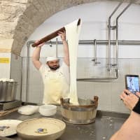 Masseria Seppunisi - Farm Visit, foto 3