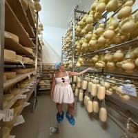 Masseria Seppunisi - Farm Visit, foto 4