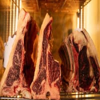 RISTORANTE IL BONGUSTO LA MAREMMA, foto 3