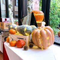 Antica Trattoria Ballotta, foto 3
