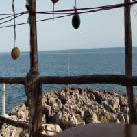 Al Trabucco da Mimì, foto 1