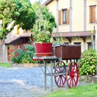 Ristorante Cà Bosco, foto 3