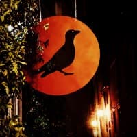 Il Calandrino, foto 2
