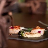 Foto ristorante Origin Bassano