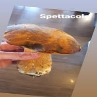 Rigatoni , foto 3