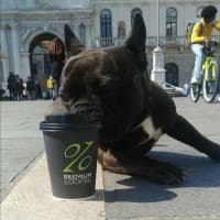 Cento%cento, foto 2