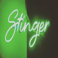 Stinger, foto 1