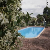 Foto ristorante Associazione Bacan