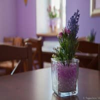 Foto ristorante LA VECCHIA COLONIA