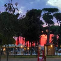 Foto ristorante Antica Strada