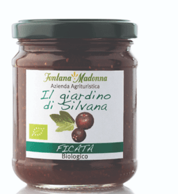 Immagine piatto