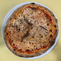 Immagine piatto