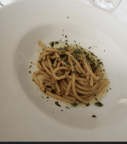 Immagine piatto