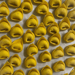 Immagine piatto