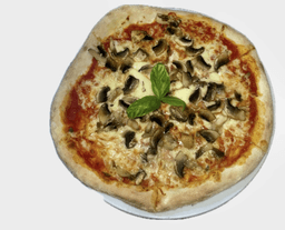 Immagine piatto