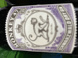 Immagine drink