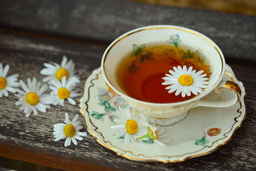 Immagine drink