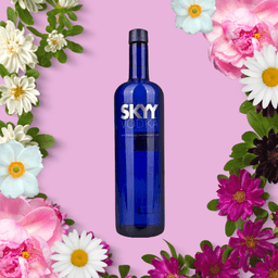 Immagine drink