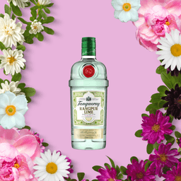 Immagine drink