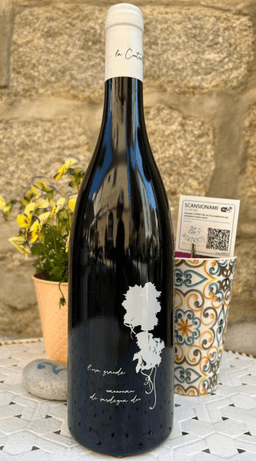 Immagine drink