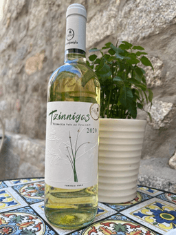 Immagine drink