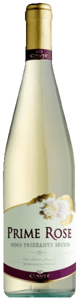 Immagine drink