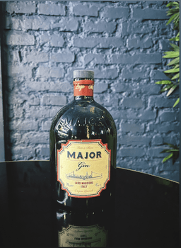 Immagine drink