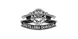 Immagine drink