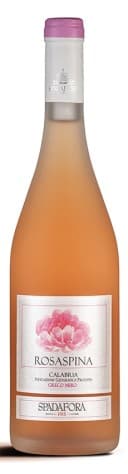Immagine drink