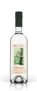 Immagine drink