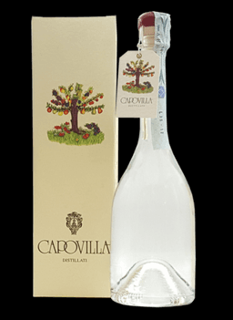 Immagine drink