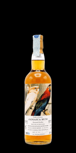 Immagine drink