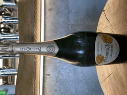 Immagine drink