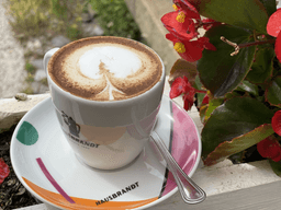 Immagine drink