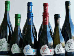 Immagine drink