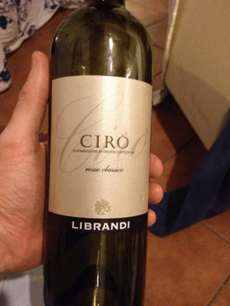 Immagine drink