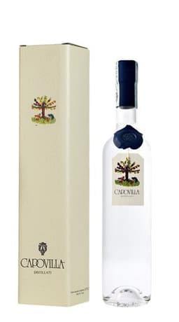 Immagine drink