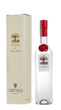 Immagine drink