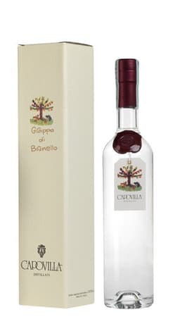 Immagine drink