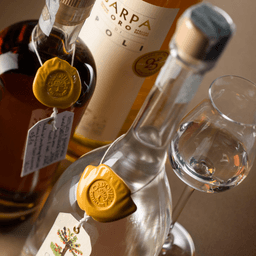 Immagine drink
