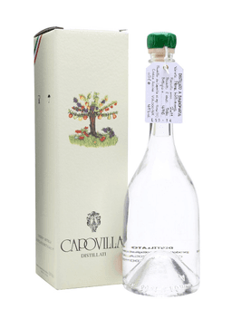 Immagine drink