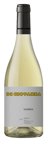 Immagine drink