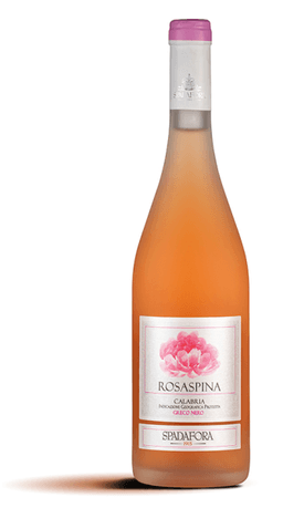 Immagine drink