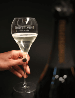 Immagine drink