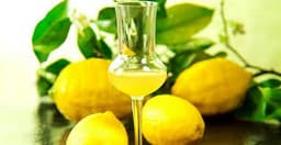 Immagine drink