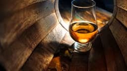 Immagine drink