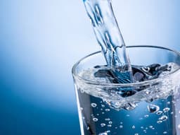 Immagine drink