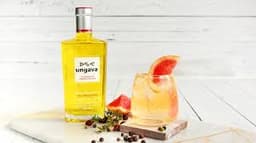 Immagine drink